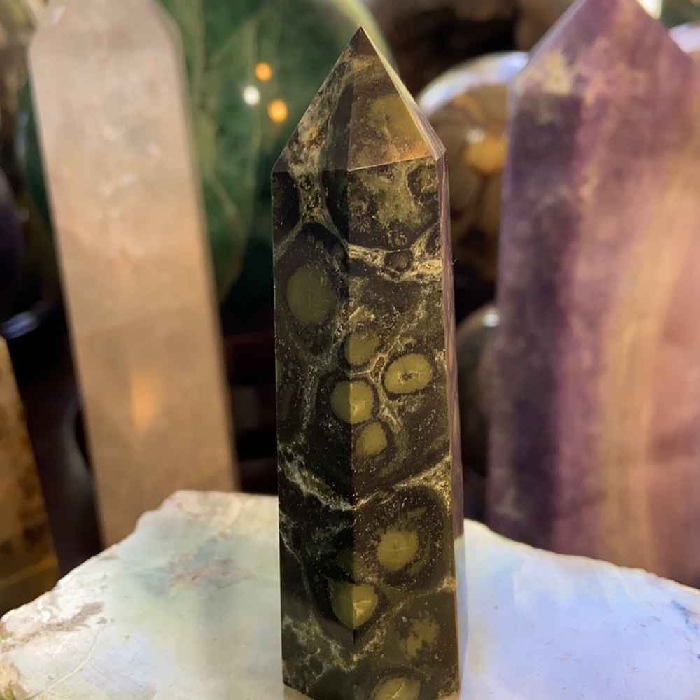 🔥SALE🔥 Kambaba Jasper Crystal Point!